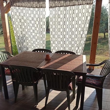 Nature Home Eco-Friendly Pet-Friendly Fažana Exterior foto